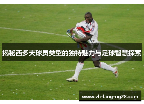 揭秘西多夫球员类型的独特魅力与足球智慧探索