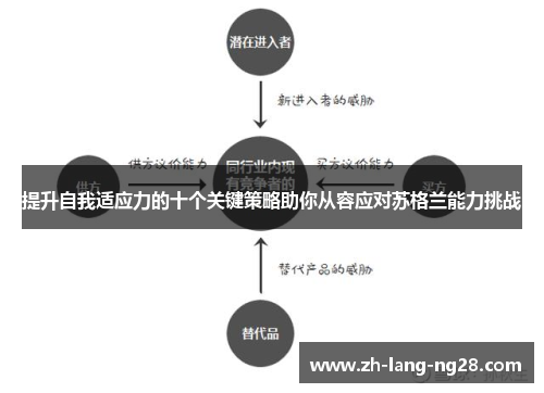 提升自我适应力的十个关键策略助你从容应对苏格兰能力挑战