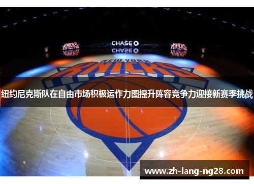 纽约尼克斯队在自由市场积极运作力图提升阵容竞争力迎接新赛季挑战