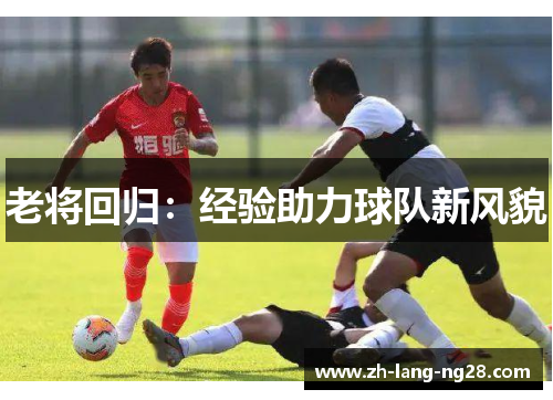 老将回归：经验助力球队新风貌