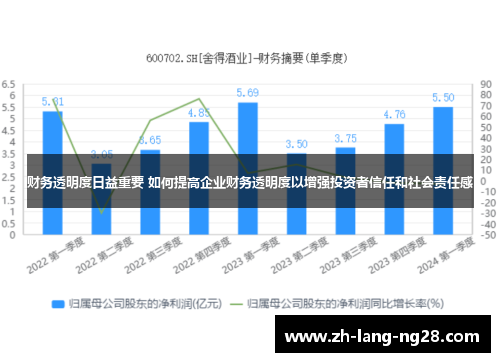 财务透明度日益重要 如何提高企业财务透明度以增强投资者信任和社会责任感 财务透明度日益重要 如何提高企业财务透明度以增强投资者信任和社会责任感
