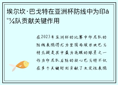 埃尔坎·巴戈特在亚洲杯防线中为印尼队贡献关键作用