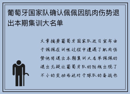 葡萄牙国家队确认佩佩因肌肉伤势退出本期集训大名单
